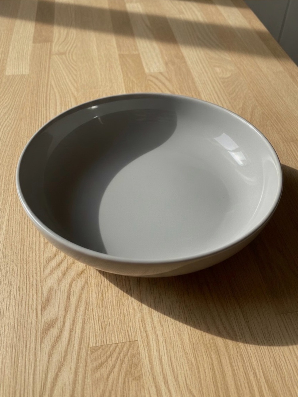 Set of 2 Project 62 Gray Stoneware Dinner Plates🍽️